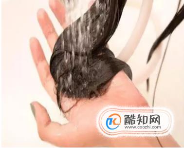 Ⱦͷ���Ĺ�������